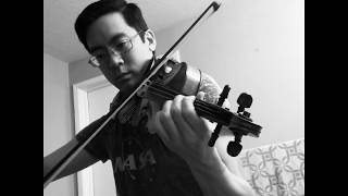 The Devil Went Down to Georgia by the Charlie Daniels Band on Violin - #LiveFromHome