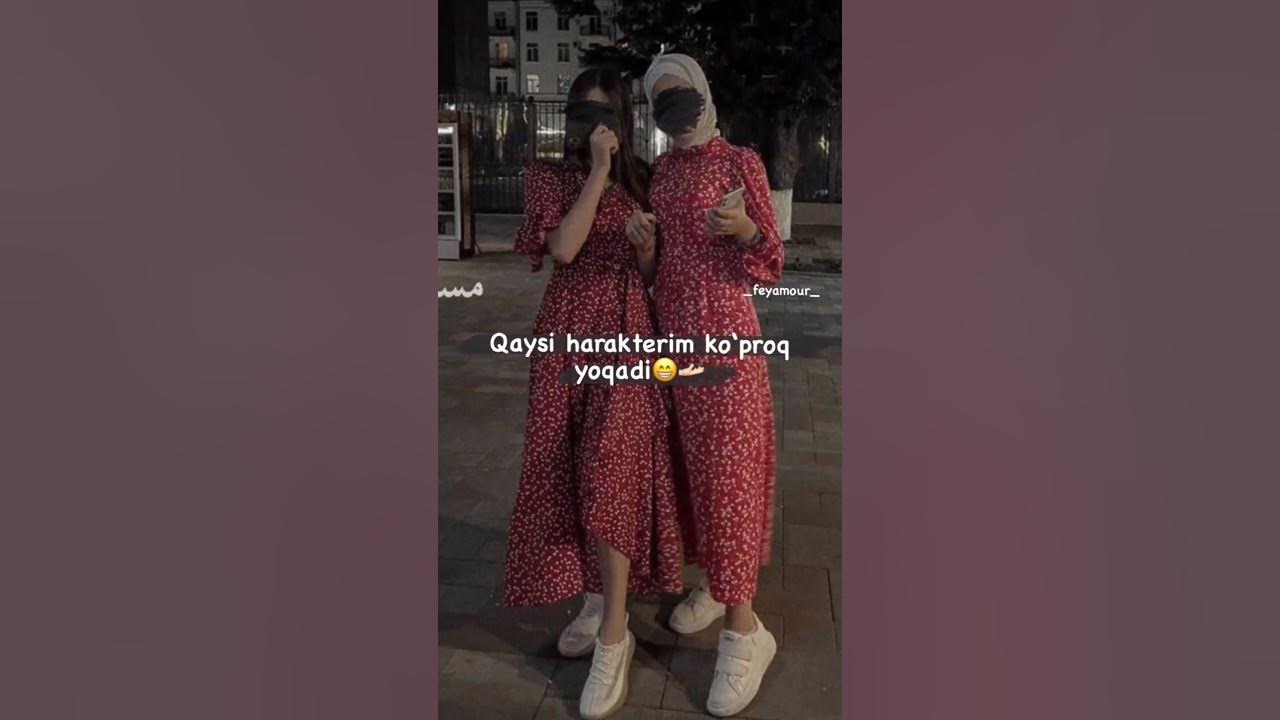 Jinsiy aloqada bolgan mushuk