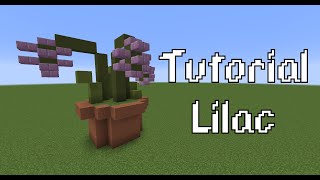 Tutorial: Lilac