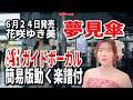 【速習】花咲ゆき美 夢見傘0 Aiガイドボーカル簡易版動く楽譜付き