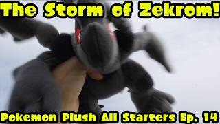 The Storm of Zekrom! | Pokemon Plush All Starters Ep. 14