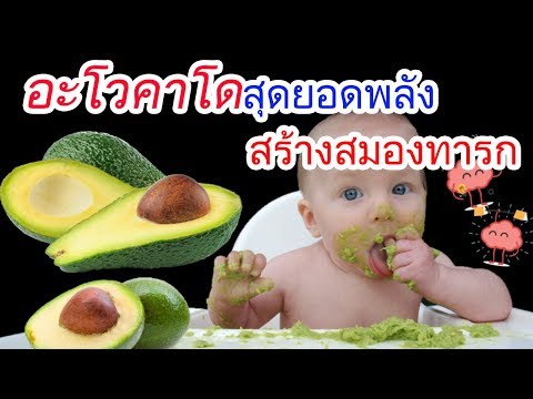 อาหารเด็กทารก : อะโวคาโด สุดยอดพลังสร้างสมองทารก | อาหารบำรุงสมองทารก | เด็กทารก Everything