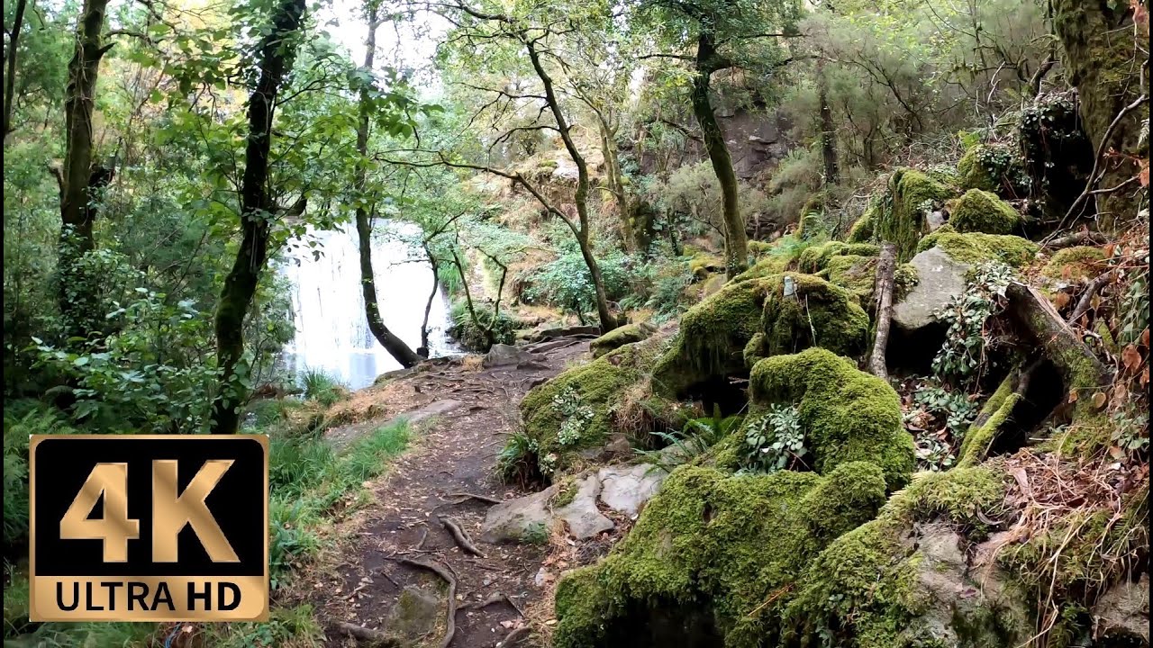 4k Hiking Alone. Medieval ruins in the forest, River, Waterfall. San Xusto, Galicia. Nature Sounds