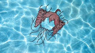 Yarobi-P - Immortal Jellyfish (feat. Kasane Teto SV) [Original Song]