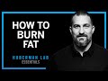 Lose Fat With Science Based Tools Huberman Lab Essentials Lose Fat With Science Based Tools Huberman Lab Essentials