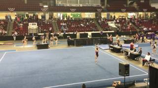 Clara Hong Gymnast - 2017 Level 9 Western Floor 9.450