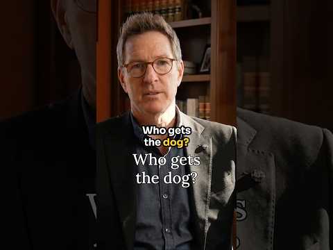 Who Gets The Dog?