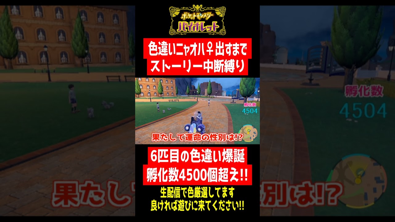 孵化数4500個超え 6匹目の色違いが遂に ポケモンsv Shorts Youtube
