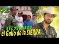 EL FINAL DEL GALLO DE LA SIERRA CONOCE SU TUMBA