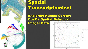 Spatial Transcriptomics - Part 2: Exploring Seurat Object