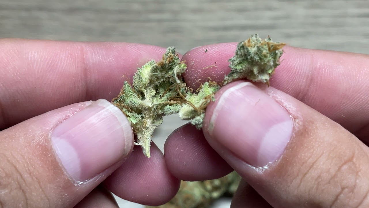 Pink Lemonade- Aerīz