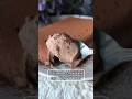Postre de Chocolate #receta #recetasfaciles #chocolate #postrerapido #postrefácil