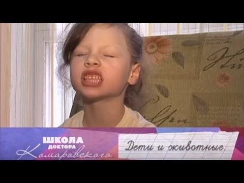 Дети и животные - Школа доктора Комаровского