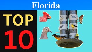 Top 10 Feeder Birds of Florida [Brief]
