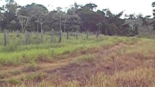 100_0911.AVI