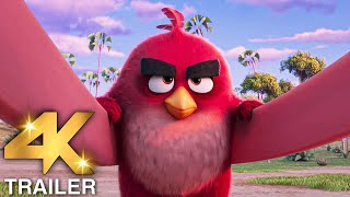The Angry Birds Movie 3 Teaser Trailer 4K Ultra Hd 2025