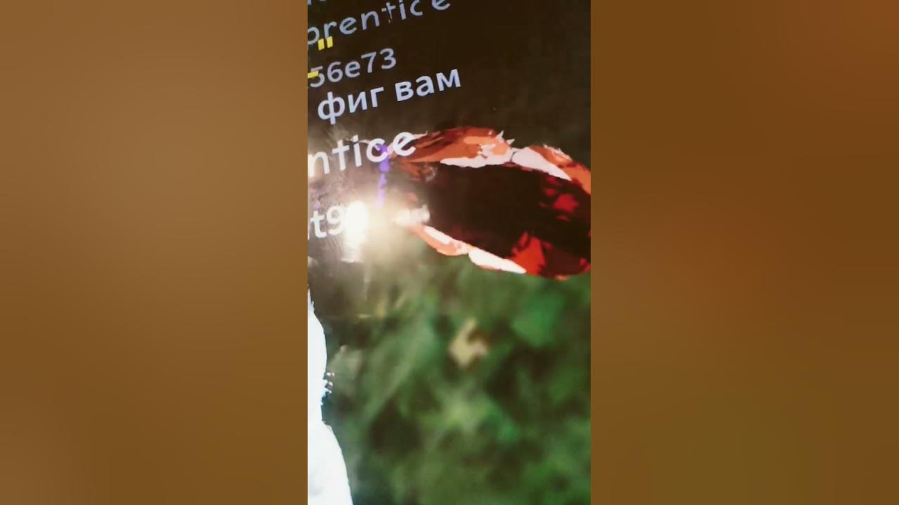 он сьел у меня - YouTube