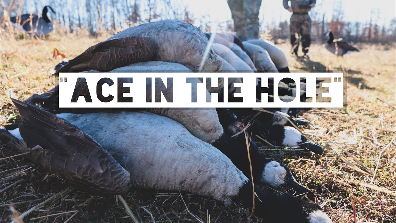 “Ace In The Hole” LATE SEASON GOOSE Tennessee Duck Hunt 6 Man YouTube