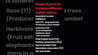 Shape of a pyramid is different. Explain | @duraisir | class 12 | bio botany | book back | quick
