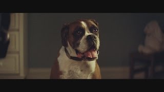 John Lewis Christmas Advert 2016 - #BusterTheBoxer