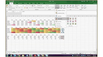 Excel Training Adv. #5 Sparklines & Conditional Formatting