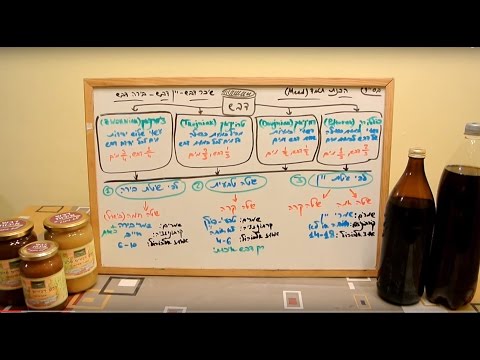 תמד MEAD, יין דבש, שיכר דבש, בירת דבש - תיאוריה - פרק 1