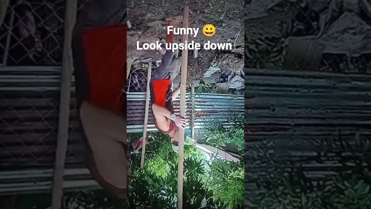 magic trick ulta karke dekho disappear 