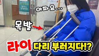 라이 다리가 부러졌어요... 급식걸즈와 라이채널 활동 중단!?ㅠㅠ