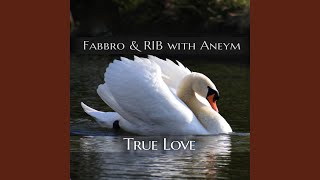 True Love - Fabbro, R.I.B., & Aneym