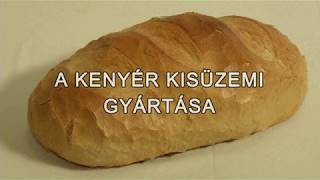 A kenyér kisüzemi gyártása