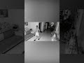 “Orang Tua Terkejut Menemukan Putrinya di Kandang Anjing 🐶” #viralvideo #shortvideo