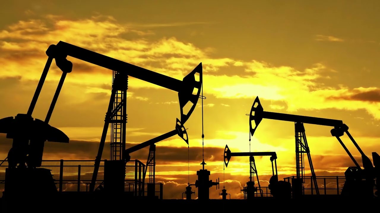 Quinn Pepitone, Benjamin Rothfeld, Cody Stebbins and Ryder Zurita - Bayview Elementary School