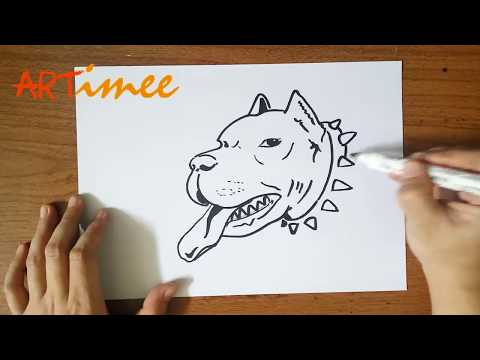 How to Draw a Pitbull ( Step by Step )