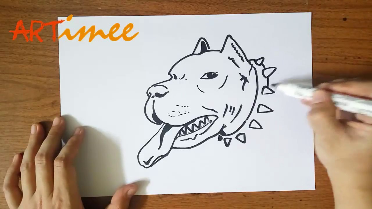 How to Draw a Pitbull ( Step by Step ) - YouTube