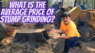 What is the Average Price of Stump Grinding?