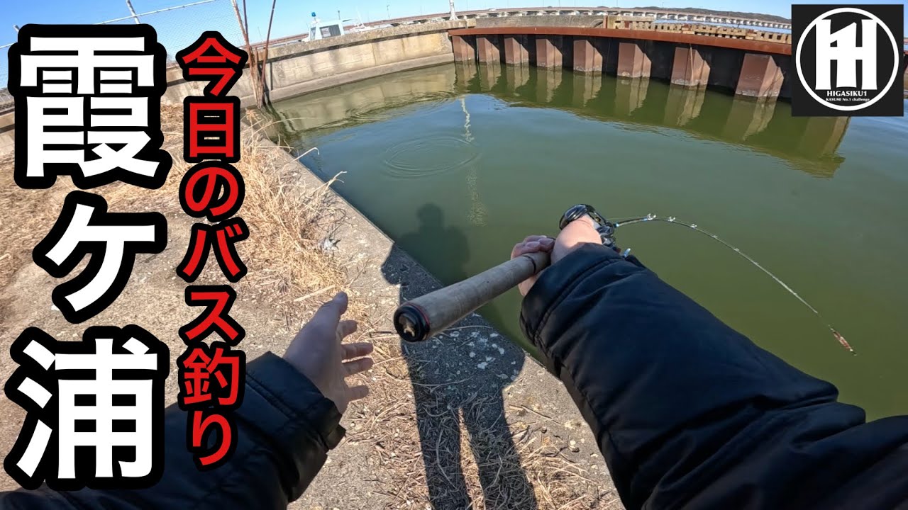 バス釣り霞ヶ浦！鰐川でミノー2026年2月1日