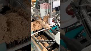 ¡De cuadrado a redondo en segundos! 🪵✨ #shorts #carpinteria #ingenieria #satisfying