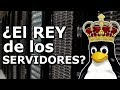 ¿Por qué LINUX es el REY de los SERVIDORES?