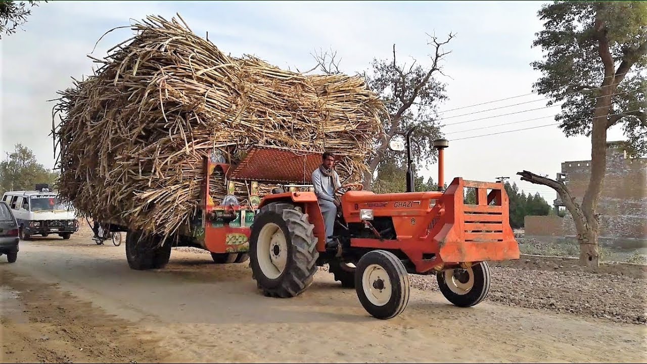 NH Ghazi 65HP Tractor | Sugarcane Haulage