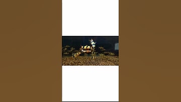 Cá chuột Mỹ thật sự đến từ đâu, cùng mình tìm hiểu nha. #thuysinh #guppy #cácảnh #aquarium #7mau