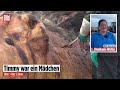 Obduktion von Wal Timmy: Erste Erkenntnisse zur Todesursache!