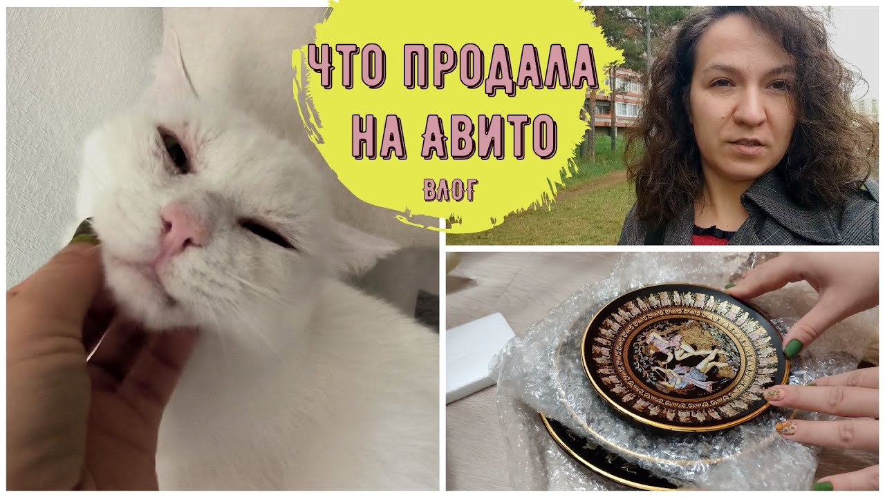 Новые продажи на Авито | Гуся теперь живёт в башмаках | Почему не хочу идти к стоматологу