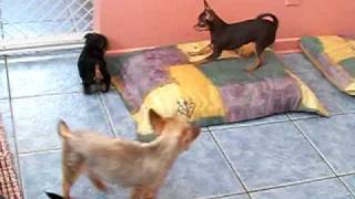 100_0454.AVI
