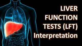 Liver Function Tests (LFT) and Clinical Interpretation | Crazy Medicine