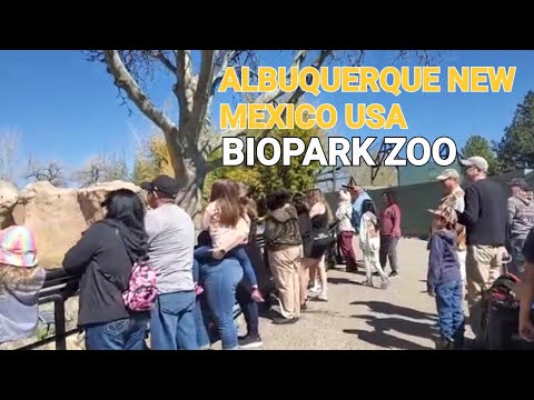 Video: Visit Albuquerque's ABQ BioPark Zoo