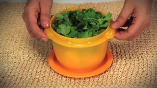 Tupperware One Touch Bowl