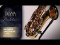 GEWA Germany Bb-Tenor Saxophone TS650 Ambition
