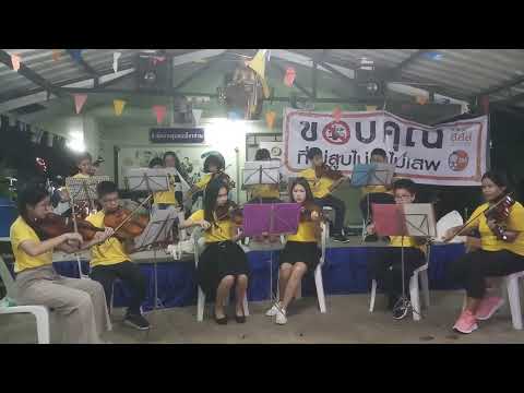 Viola ลอยกระทง