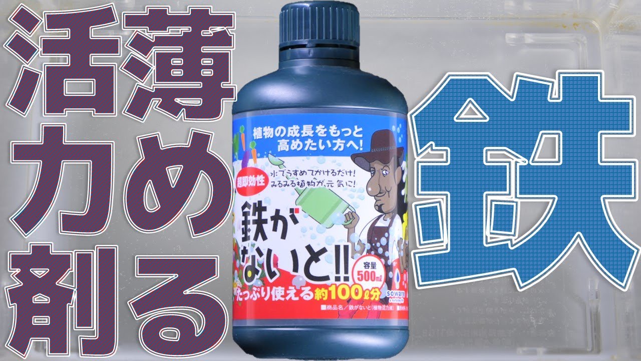 【園芸用活力剤】鉄って知ってる？メネデールを市販で再現できない問題と二価鉄が高濃度に入っているおっちゃん。soware 植物活力液 鉄がないと！【ふぶきテトラ】