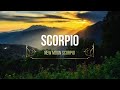 ♏️ SCORPIO: New Moon in Scorpio 11/19/25